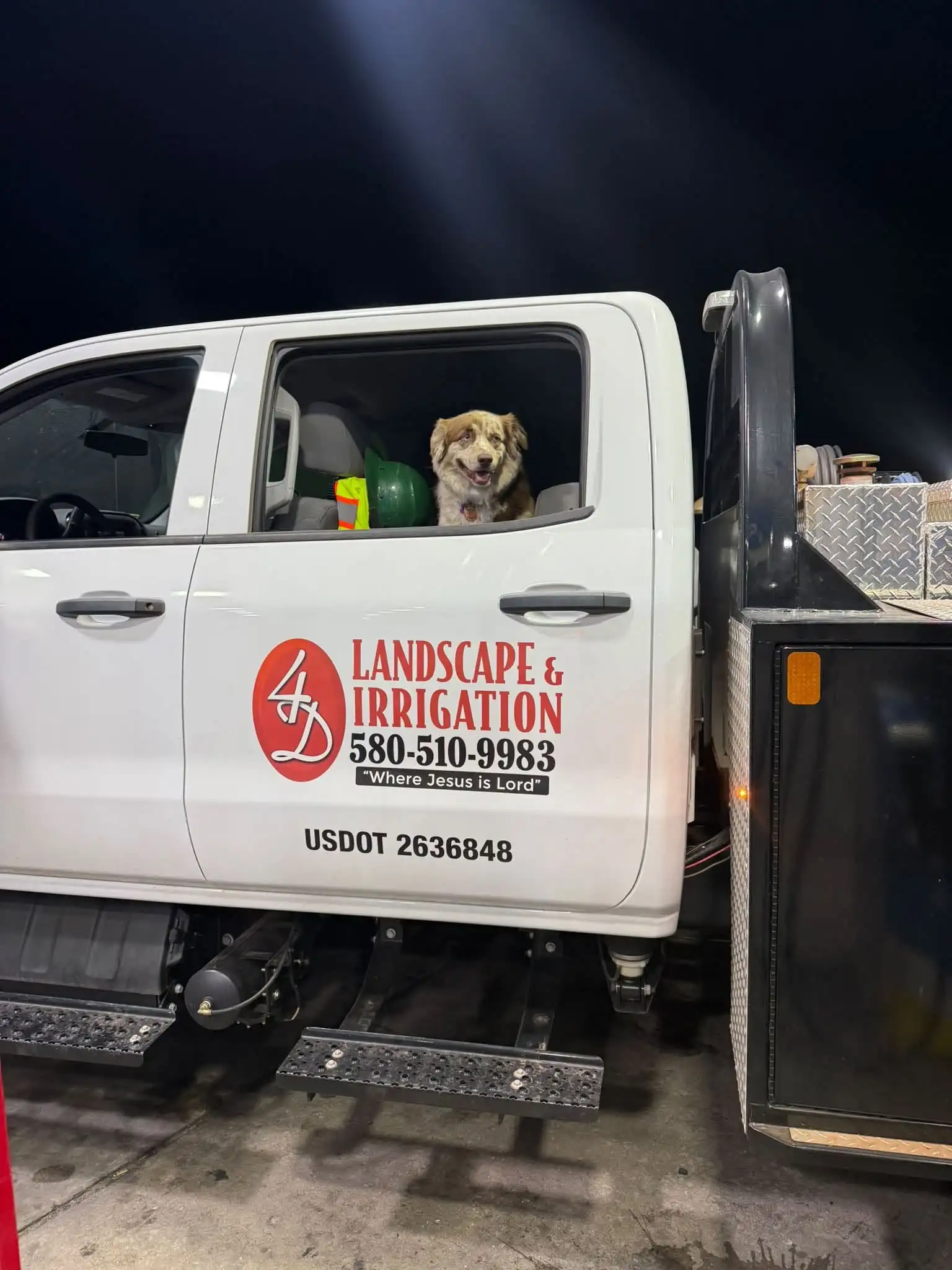 White 4-D Landscape and Irrigation work truck door with the logo, phone number, Where Jesus is Lord and USDOT number, and the crew dog looking out the window beside a hard hat and safety vest