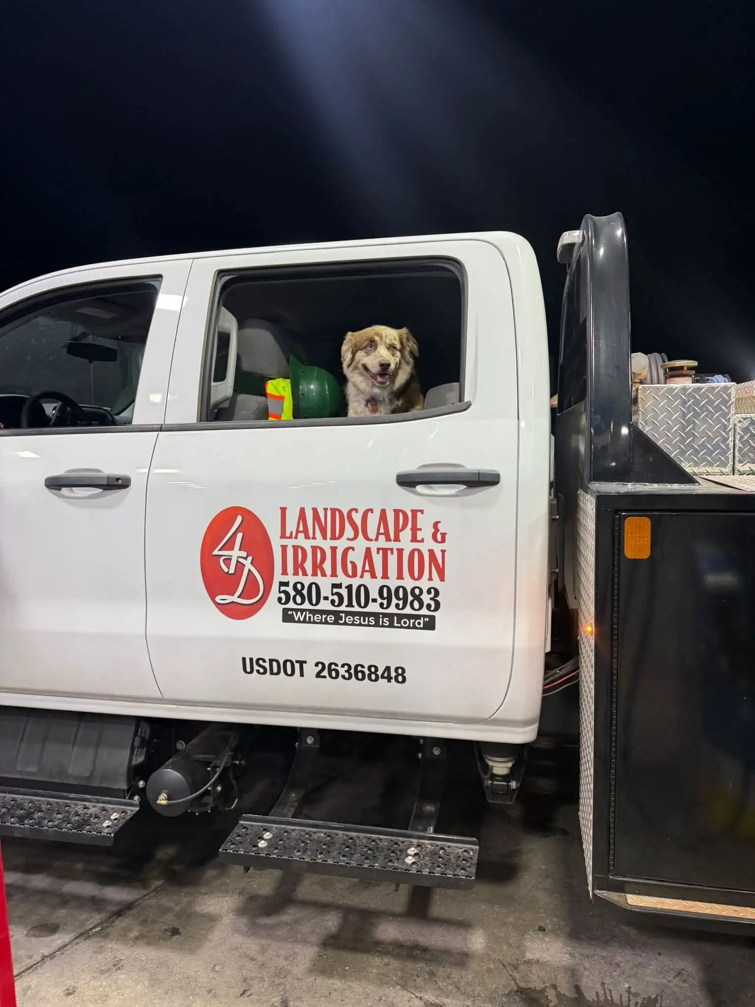 White 4-D Landscape and Irrigation work truck door with the logo, phone number, Where Jesus is Lord and USDOT number, and the crew dog looking out the window beside a hard hat and safety vest