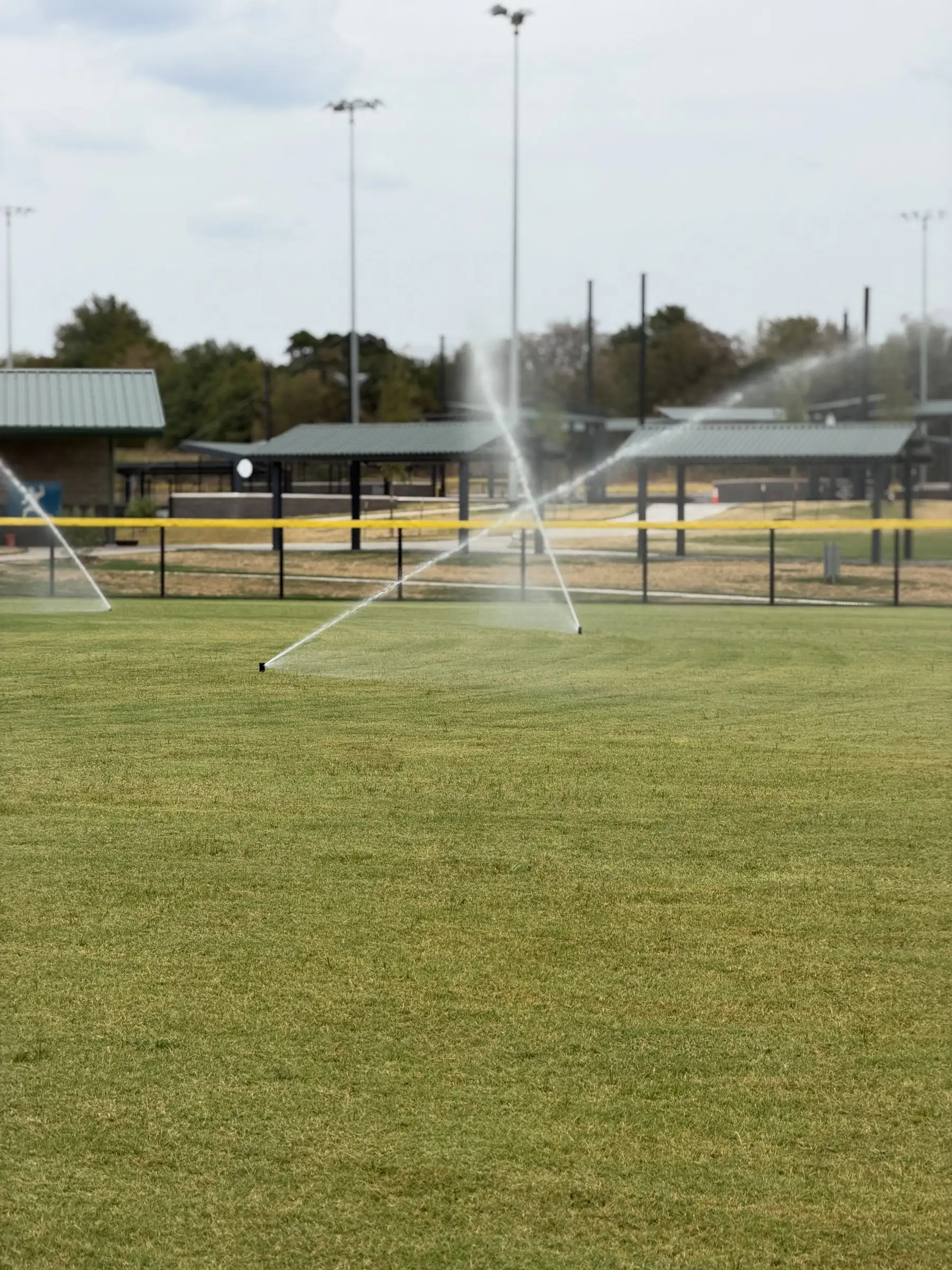 Sprinklers watering a wide stretch of new sod in front of a fenced ballfield with covered dugouts and light poles