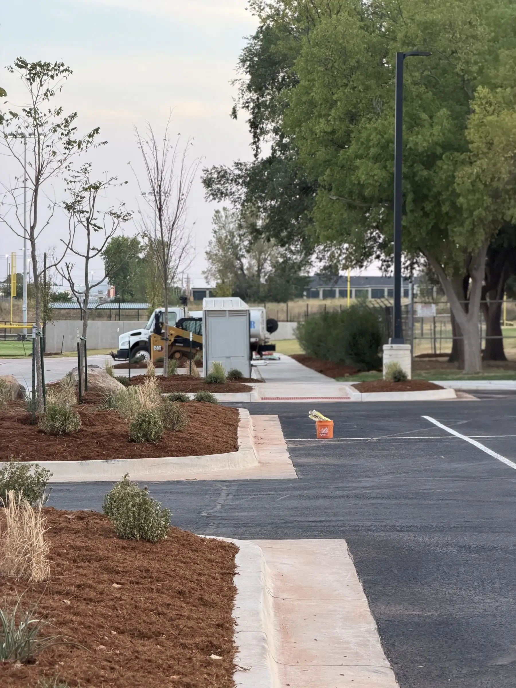 Mulched planting islands with ornamental grasses and young trees along a new asphalt parking lot