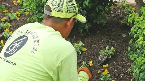 Back of a 4-D crew shirt that reads Where Jesus is Lord while planting a bed