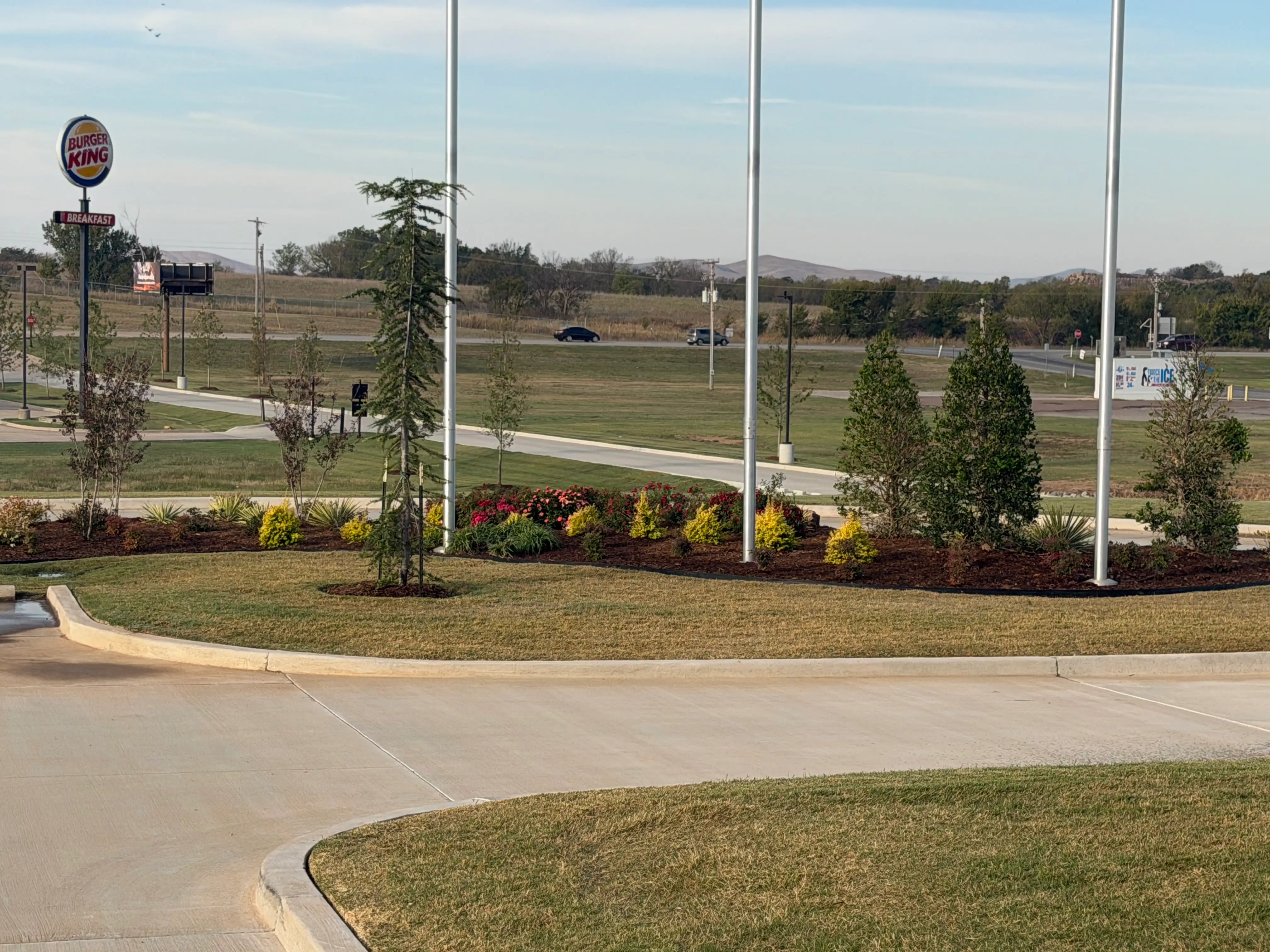New plantings in mulch along a commercial driveway
