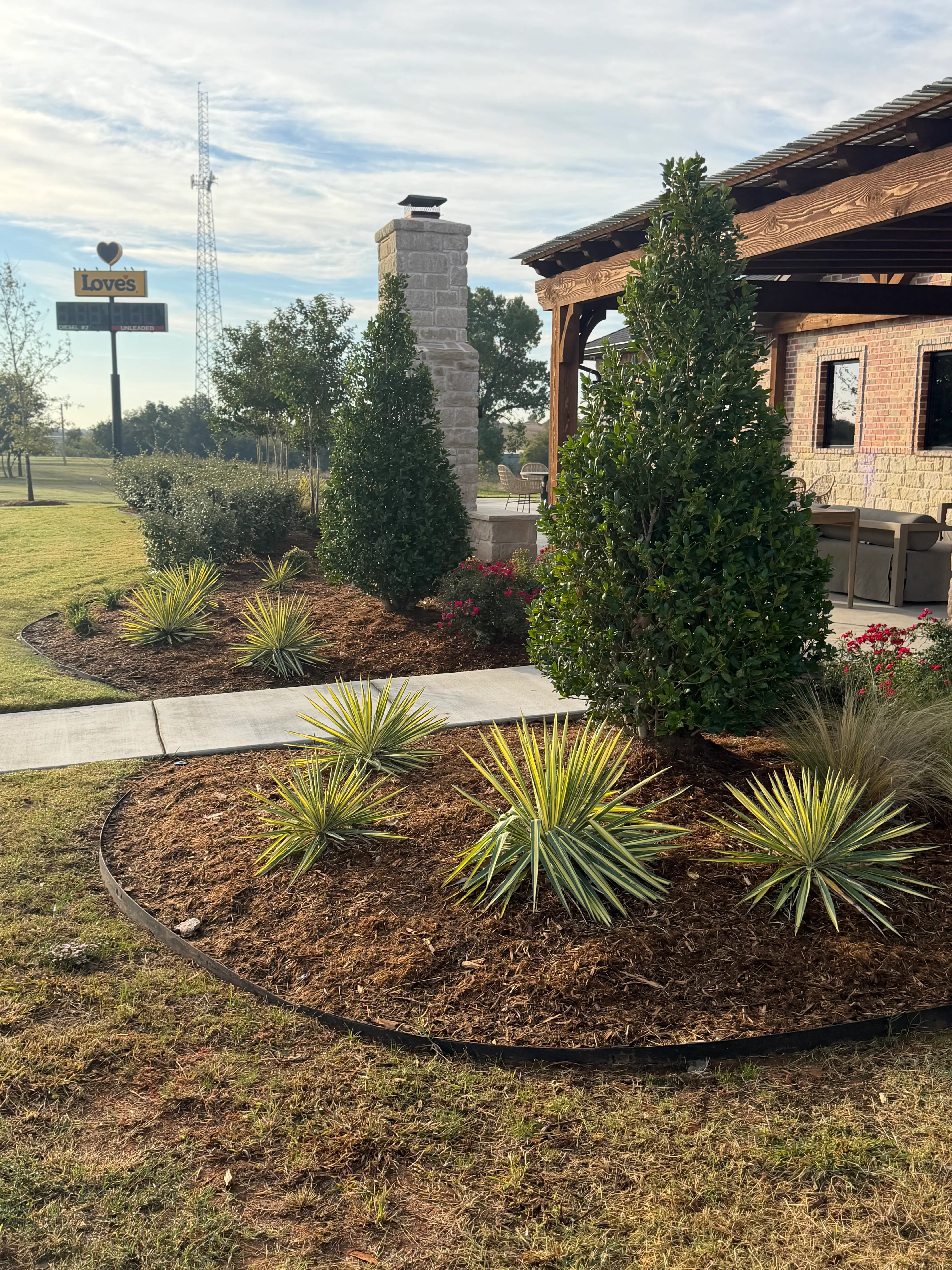 Commercial planting beds with yucca, shrubs and seasonal color in fresh mulch