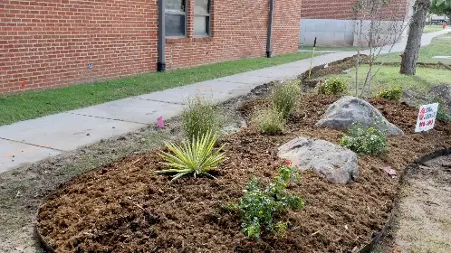 Mulched bed with boulders, agave and ornamental grasses along a sidewalk