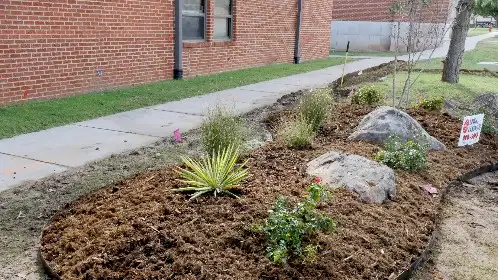 Mulched bed with boulders, agave and ornamental grasses along a sidewalk