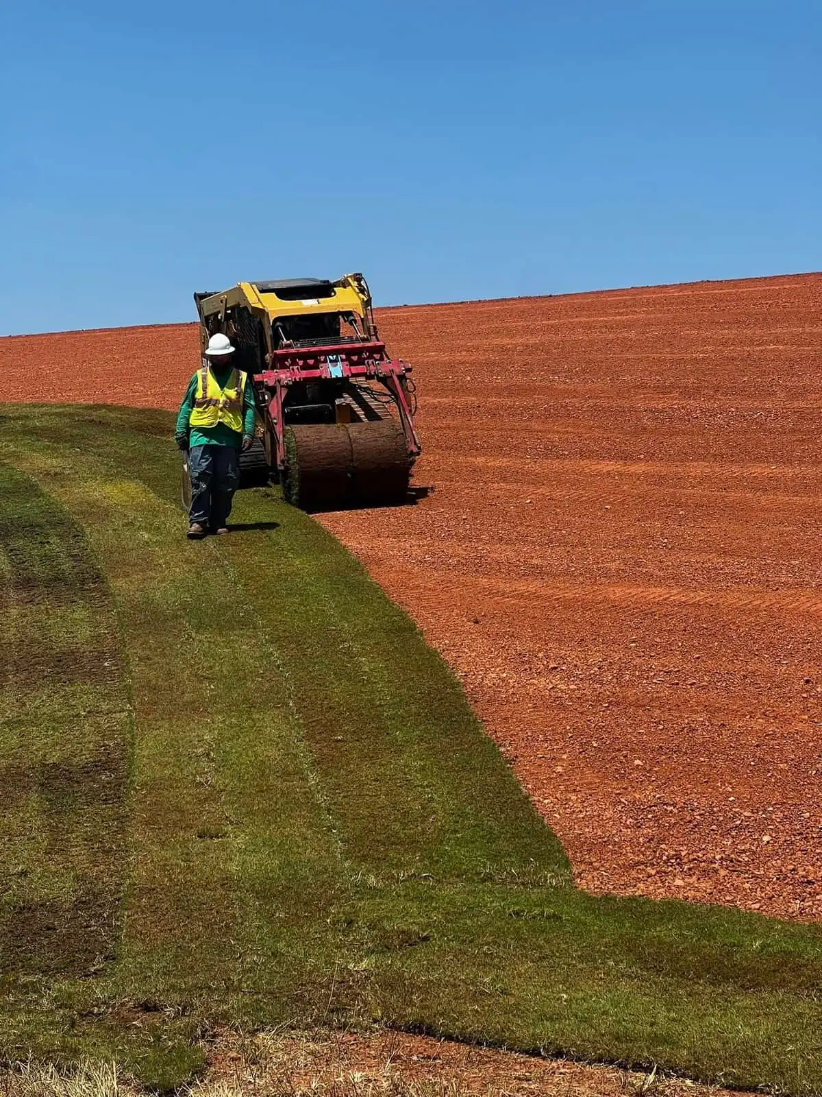 Crew member guiding a sod harvester-style machine laying rolled sod over graded red soil